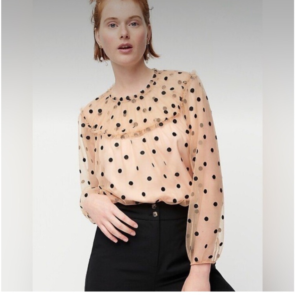 J Crew "Diana Candy" Polka Dot Tulle Sheer Blouse, Size Small, NWOT